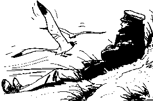 mouette.gif (2833 byte)
